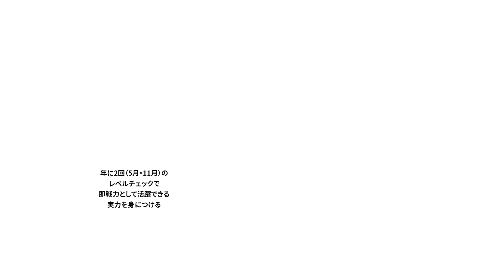 年に2回（5月・11月）のレベルチェックで即戦力として活躍できる実力を身につける