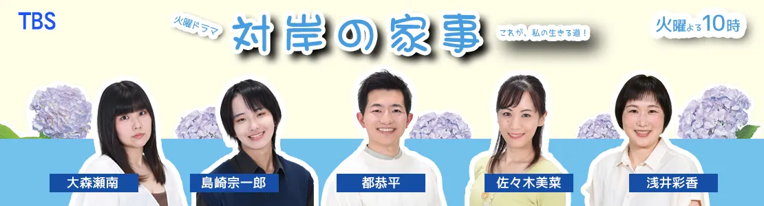 対岸の家事